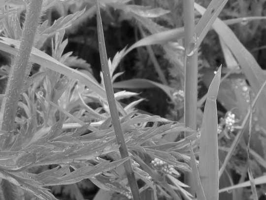 informative videos